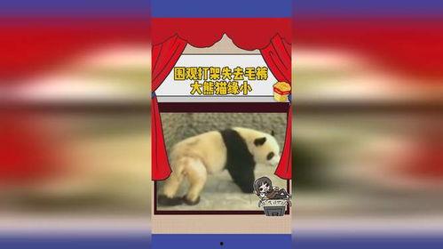 缘分娱乐吃瓜,吃瓜群众揭秘娱乐圈幕后真相