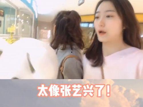 娱乐吃瓜酱高智商,揭秘高智商背后的娱乐智慧