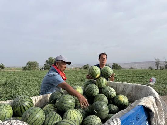 每天娱乐吃瓜,娱乐圈新鲜事速递