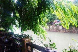 吃瓜娱乐间江南,吃瓜娱乐间里的文学奇才